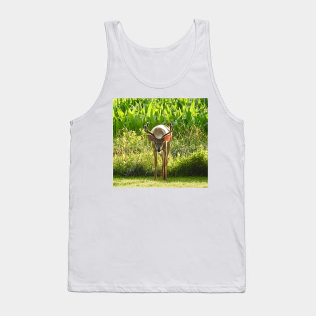 Whitetail Deer, Wild Animals, Wildlife Photography, Gifts Tank Top by sandyo2ly